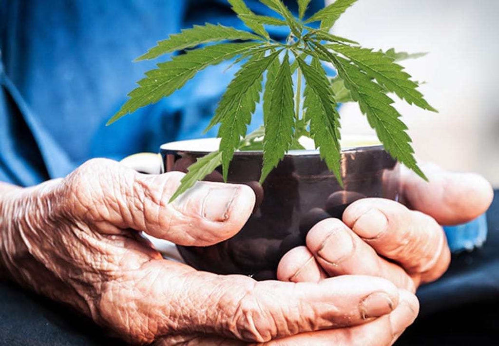 Introducing Cannabis to Your Elderly Loved One: A Gentle Guide from an Appalachian Perspective